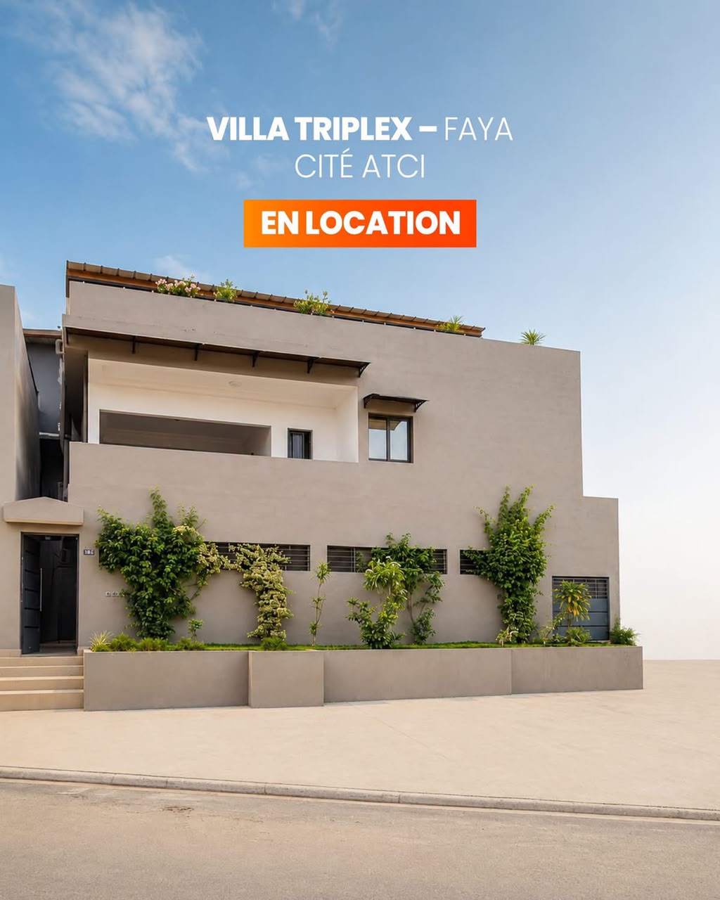 Trone Immobilier